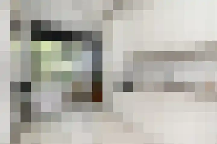 Klimvaren 13 Bergschenhoek thumbnail 18