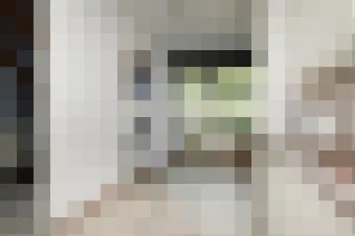 Klimvaren 13 Bergschenhoek thumbnail 19