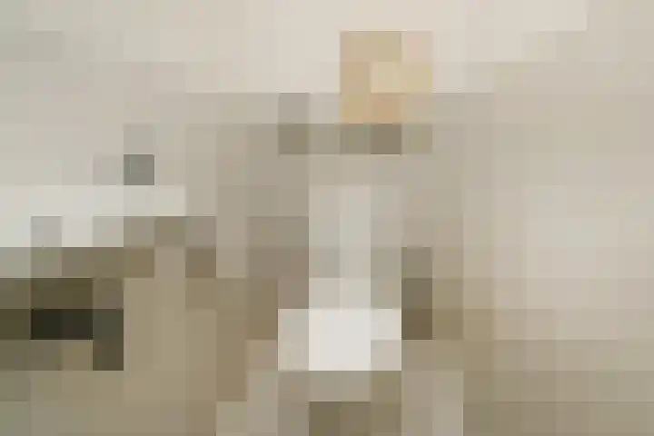 Klimvaren 13 Bergschenhoek thumbnail 21