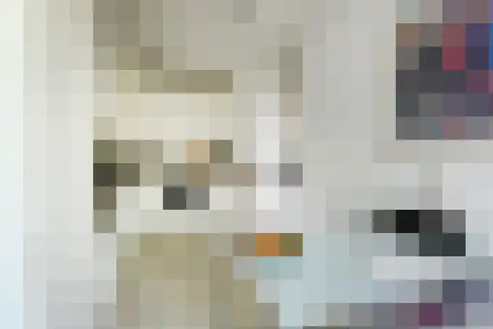 Klimvaren 13 Bergschenhoek thumbnail 22