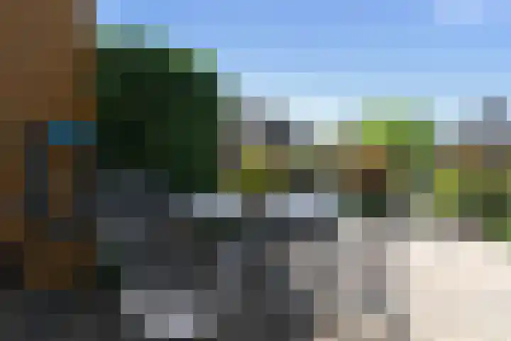 Klimvaren 13 Bergschenhoek thumbnail 24