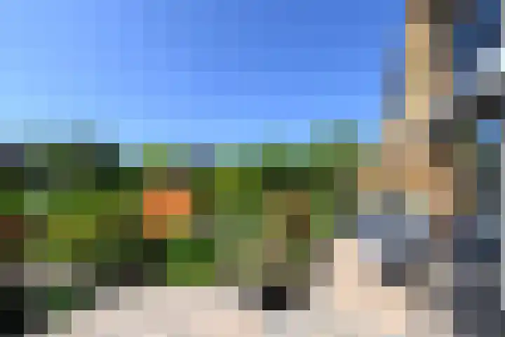 Klimvaren 13 Bergschenhoek thumbnail 25