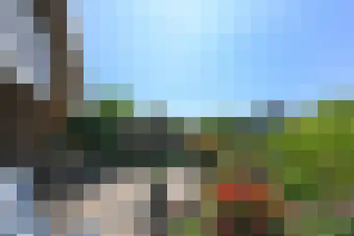 Klimvaren 13 Bergschenhoek thumbnail 26