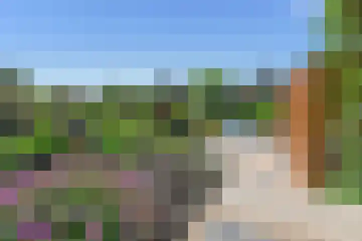 Klimvaren 13 Bergschenhoek thumbnail 27