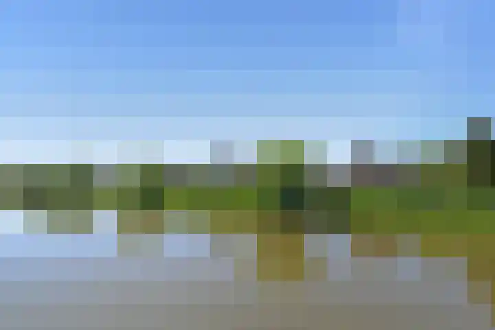 Klimvaren 13 Bergschenhoek thumbnail 28