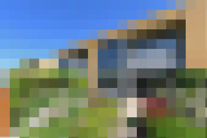 Klimvaren 13 Bergschenhoek thumbnail 29