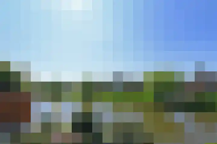 Klimvaren 13 Bergschenhoek thumbnail 30