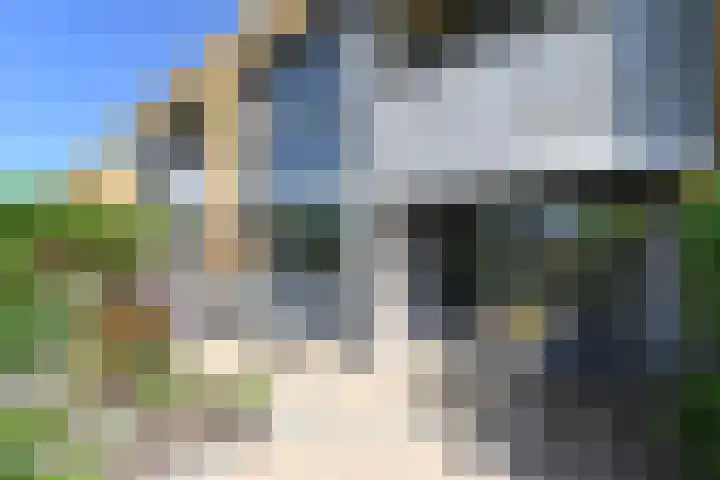 Klimvaren 13 Bergschenhoek thumbnail 31