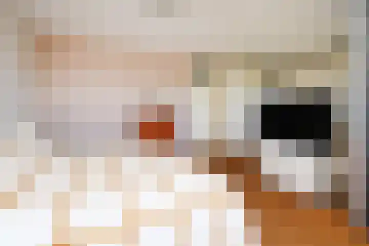 Klimvaren 13 Bergschenhoek thumbnail 32