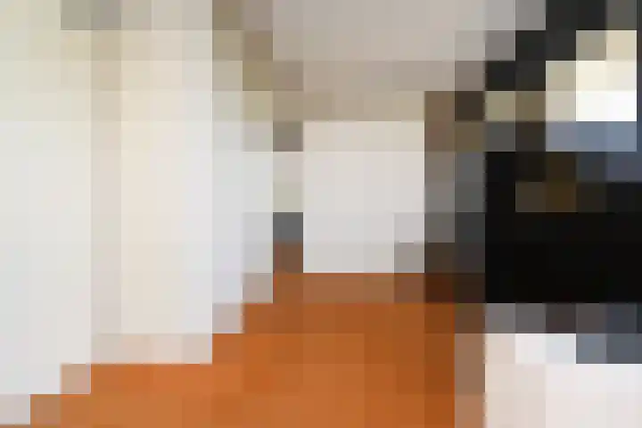 Klimvaren 13 Bergschenhoek thumbnail 33