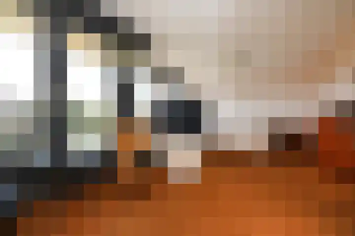 Klimvaren 13 Bergschenhoek thumbnail 34