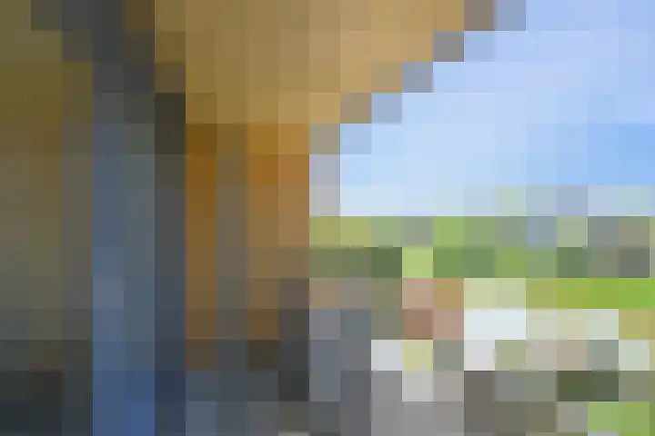 Klimvaren 13 Bergschenhoek thumbnail 35