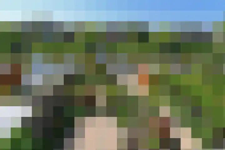 Klimvaren 13 Bergschenhoek thumbnail 36