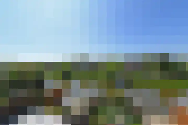 Klimvaren 13 Bergschenhoek thumbnail 37
