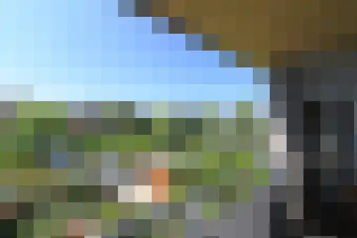 Klimvaren 13 Bergschenhoek thumbnail 38