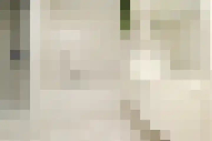 Klimvaren 13 Bergschenhoek thumbnail 39
