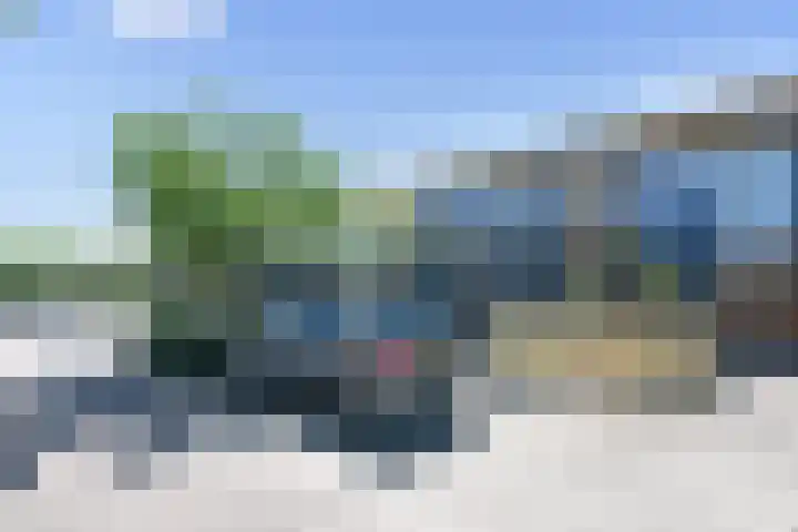 Klimvaren 13 Bergschenhoek thumbnail 4