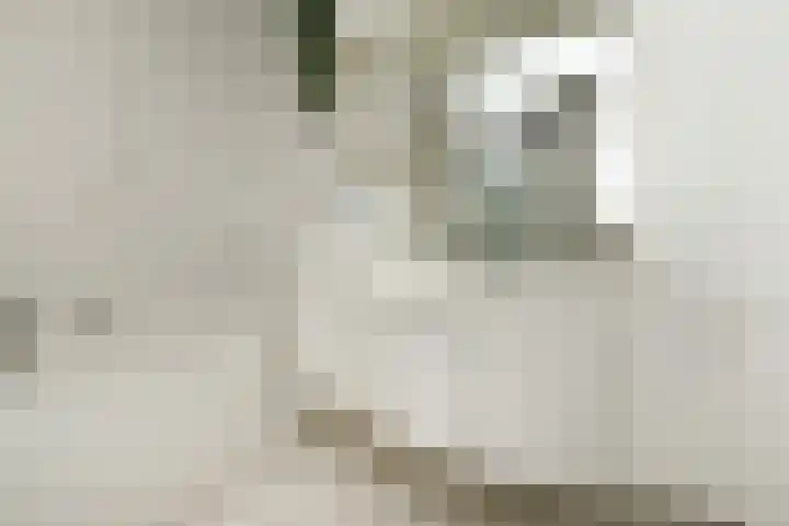 Klimvaren 13 Bergschenhoek thumbnail 40