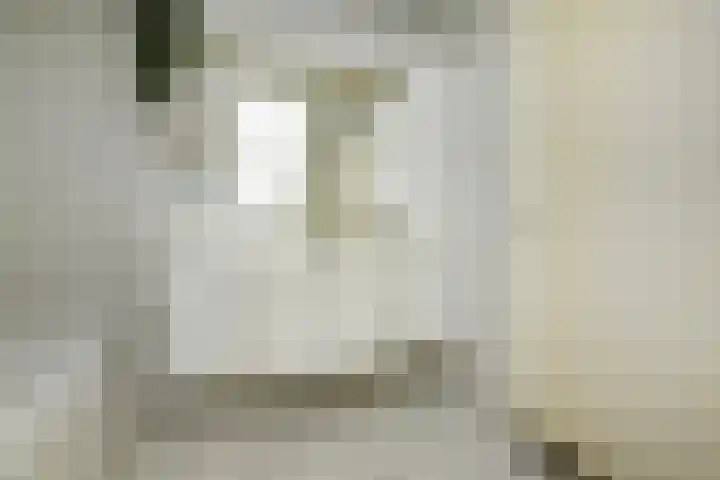 Klimvaren 13 Bergschenhoek thumbnail 41