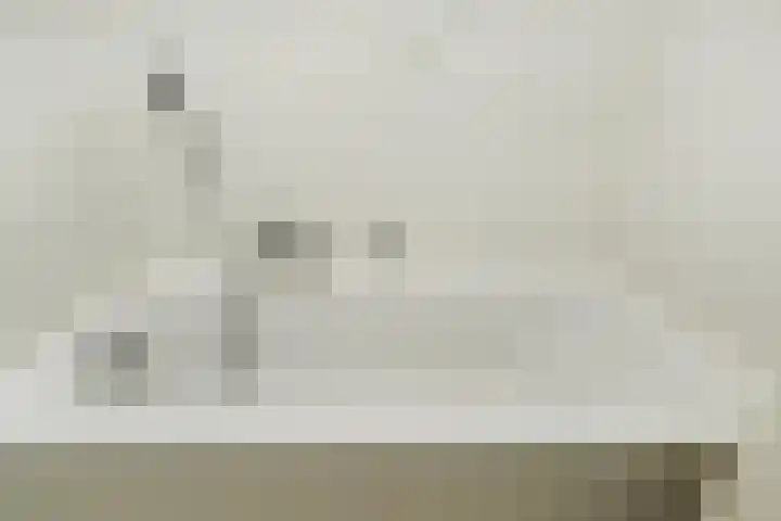 Klimvaren 13 Bergschenhoek thumbnail 42
