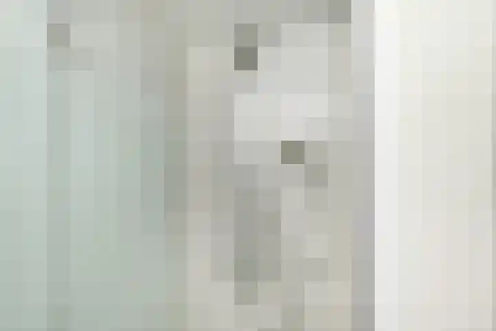 Klimvaren 13 Bergschenhoek thumbnail 43