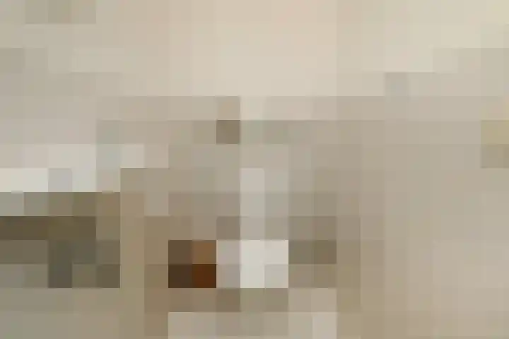 Klimvaren 13 Bergschenhoek thumbnail 48