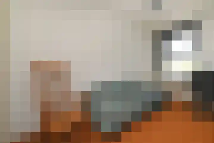 Klimvaren 13 Bergschenhoek thumbnail 49