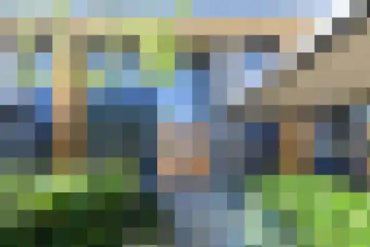 Klimvaren 13 Bergschenhoek thumbnail 5