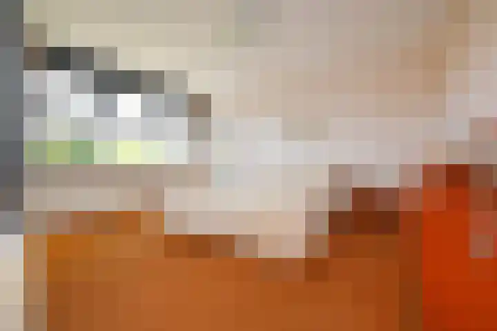 Klimvaren 13 Bergschenhoek thumbnail 50