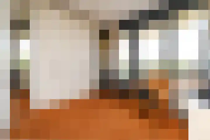 Klimvaren 13 Bergschenhoek thumbnail 51