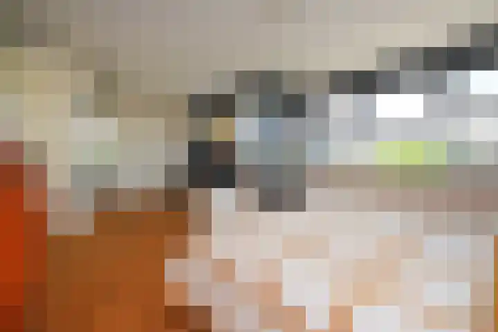 Klimvaren 13 Bergschenhoek thumbnail 52