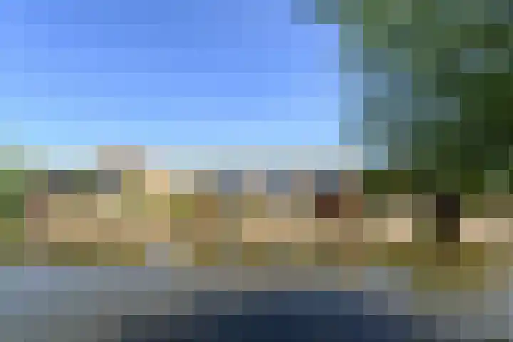 Klimvaren 13 Bergschenhoek thumbnail 55