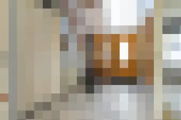 Klimvaren 13 Bergschenhoek thumbnail 7