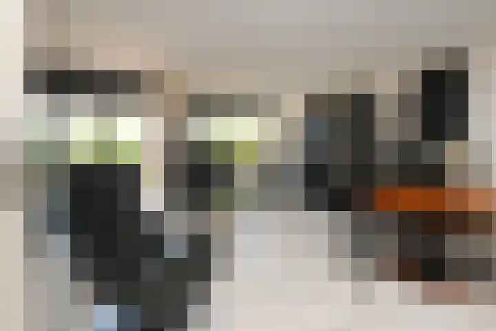 Klimvaren 13 Bergschenhoek thumbnail 8