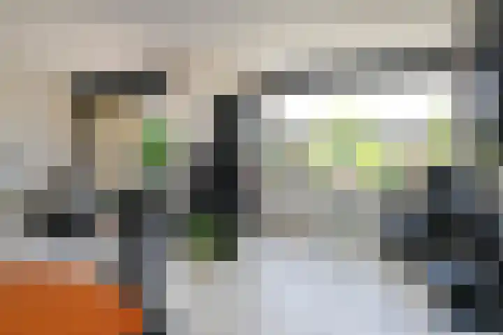 Klimvaren 13 Bergschenhoek thumbnail 9
