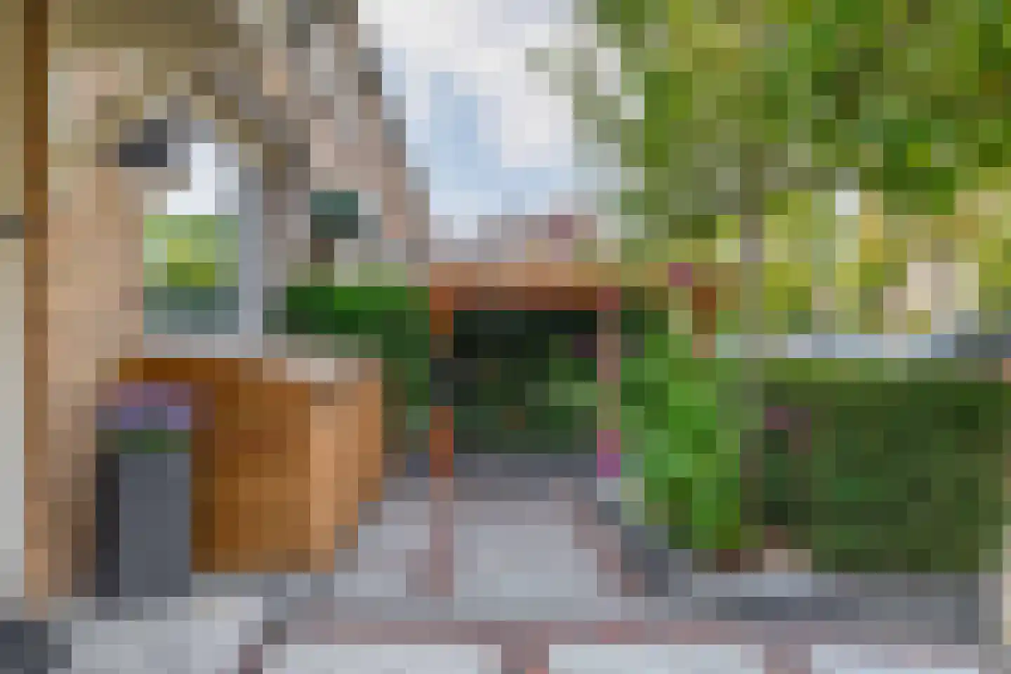Klimvaren 9 Rotterdam thumbnail 11