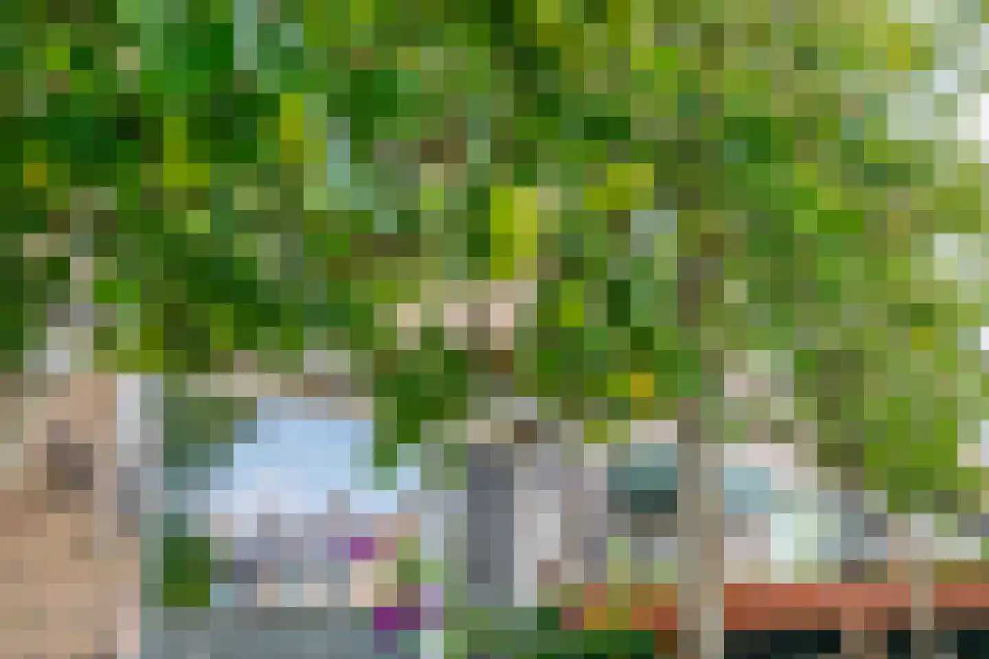 Klimvaren 9 Rotterdam thumbnail 12