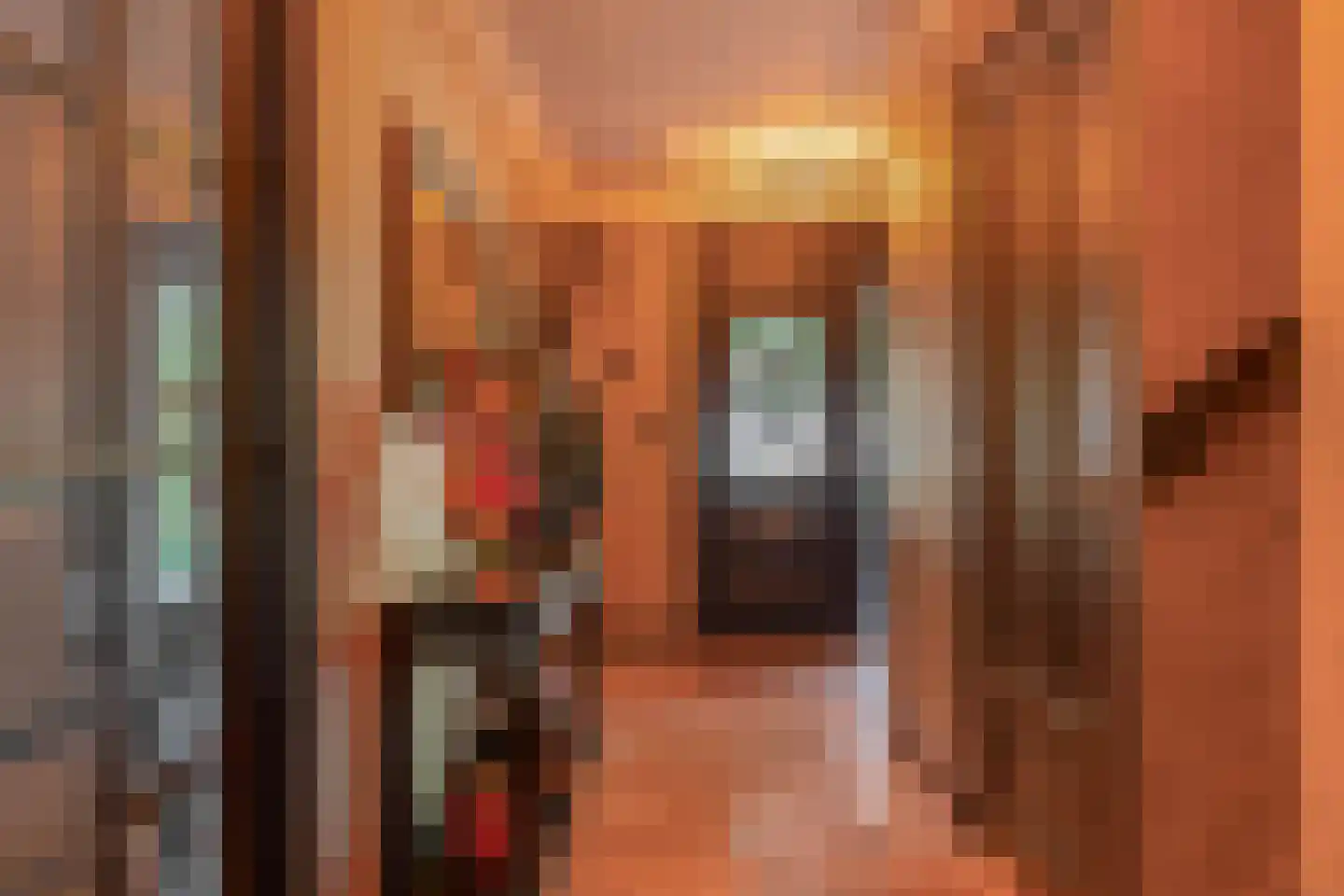 Klimvaren 9 Rotterdam thumbnail 13
