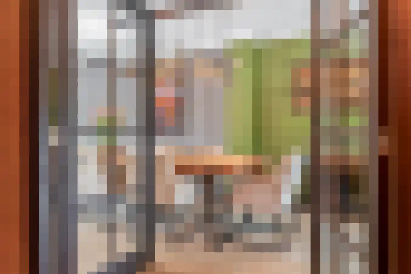 Klimvaren 9 Rotterdam thumbnail 16
