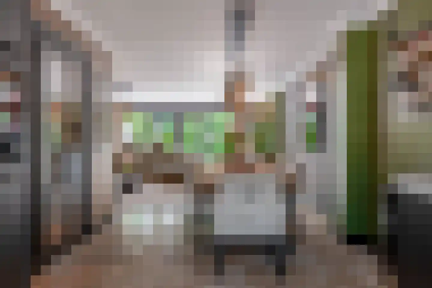 Klimvaren 9 Rotterdam thumbnail 17