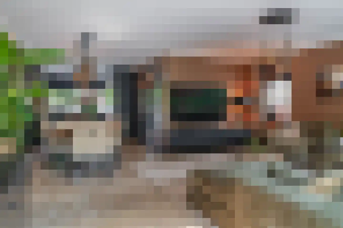 Klimvaren 9 Rotterdam thumbnail 18