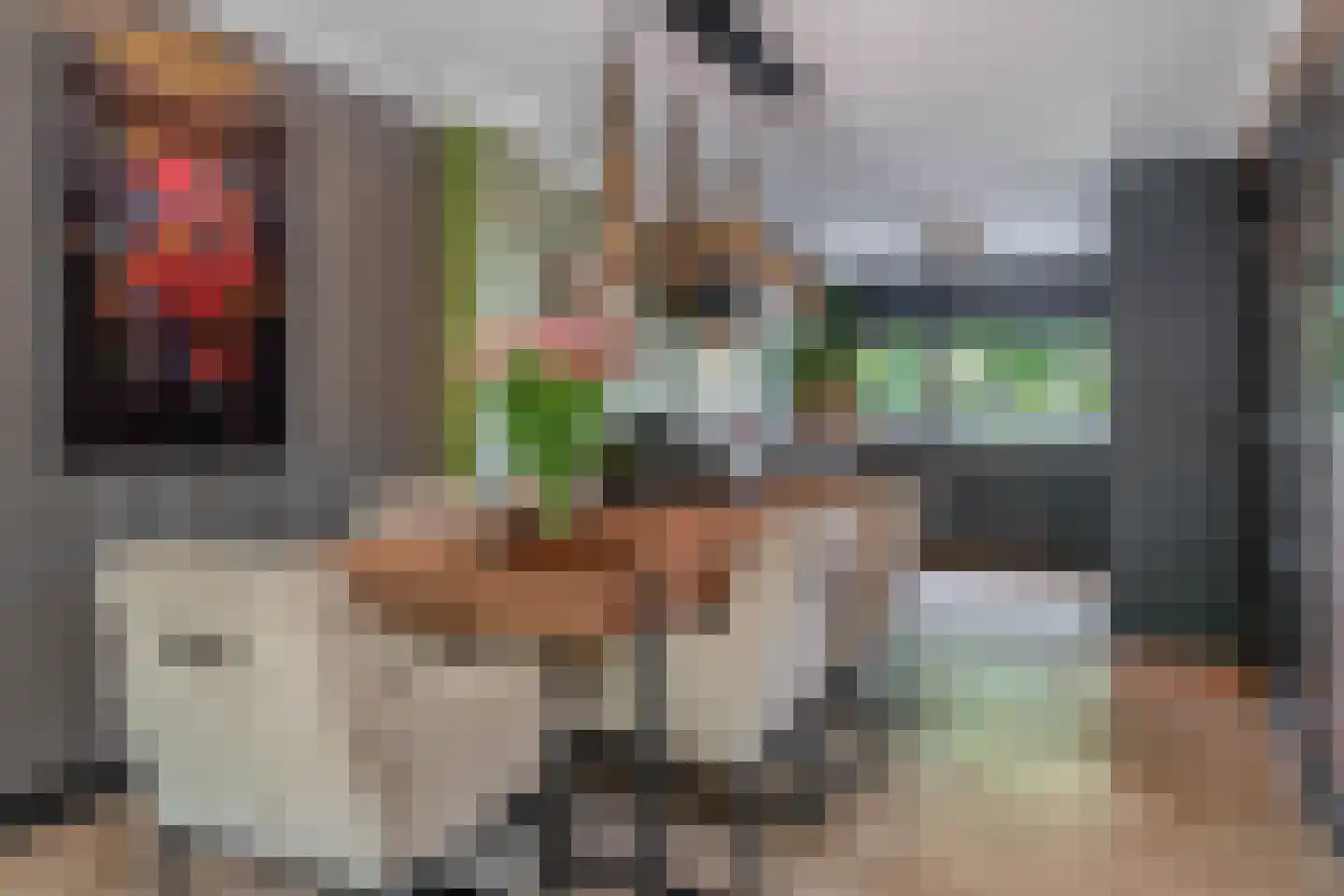 Klimvaren 9 Rotterdam thumbnail 19