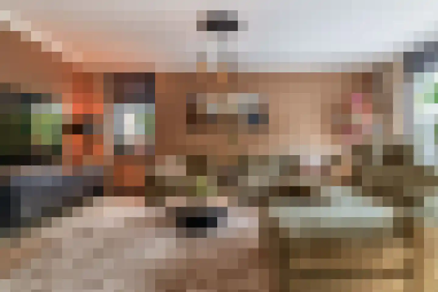 Klimvaren 9 Rotterdam thumbnail 20