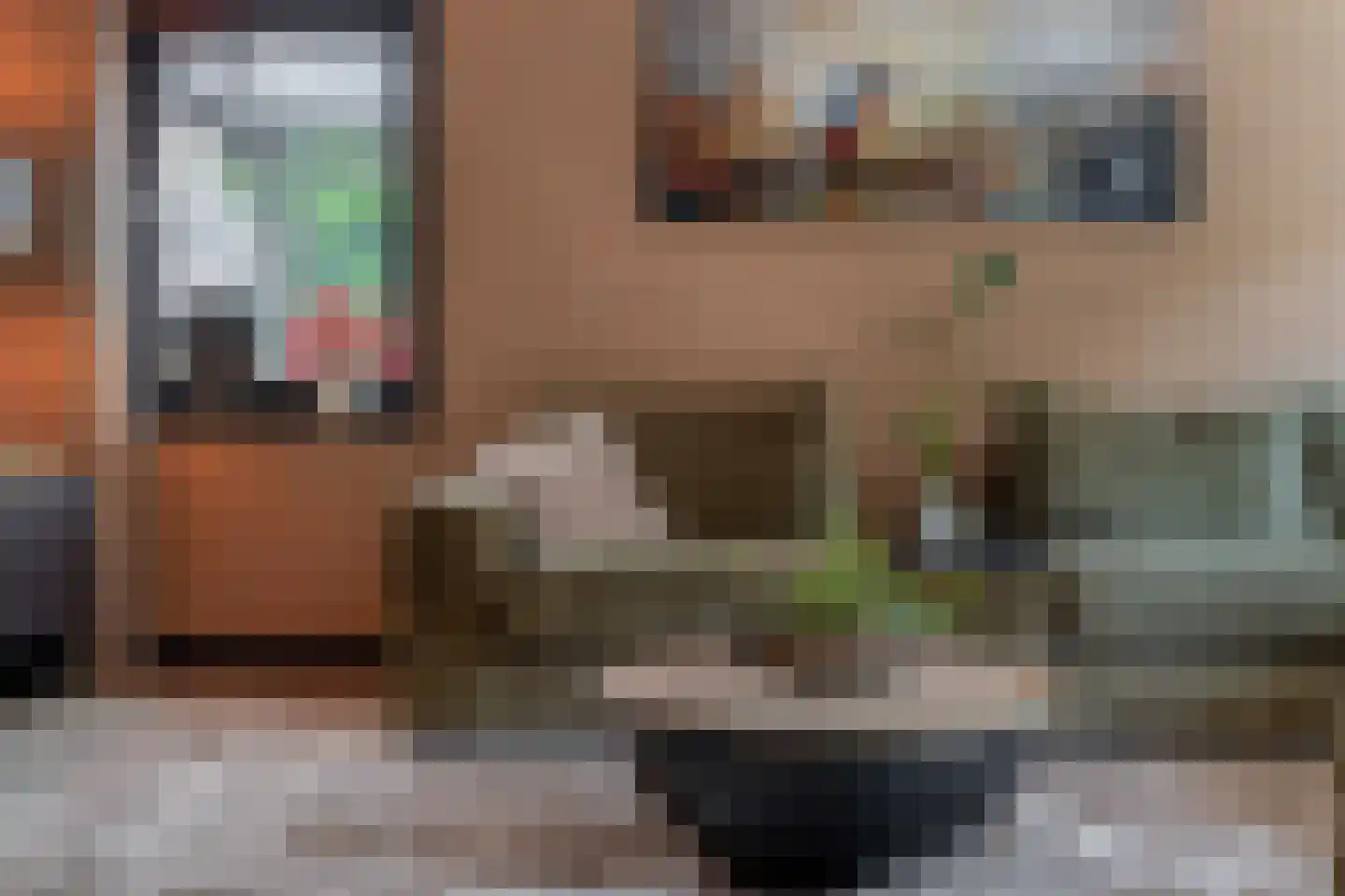 Klimvaren 9 Rotterdam thumbnail 21