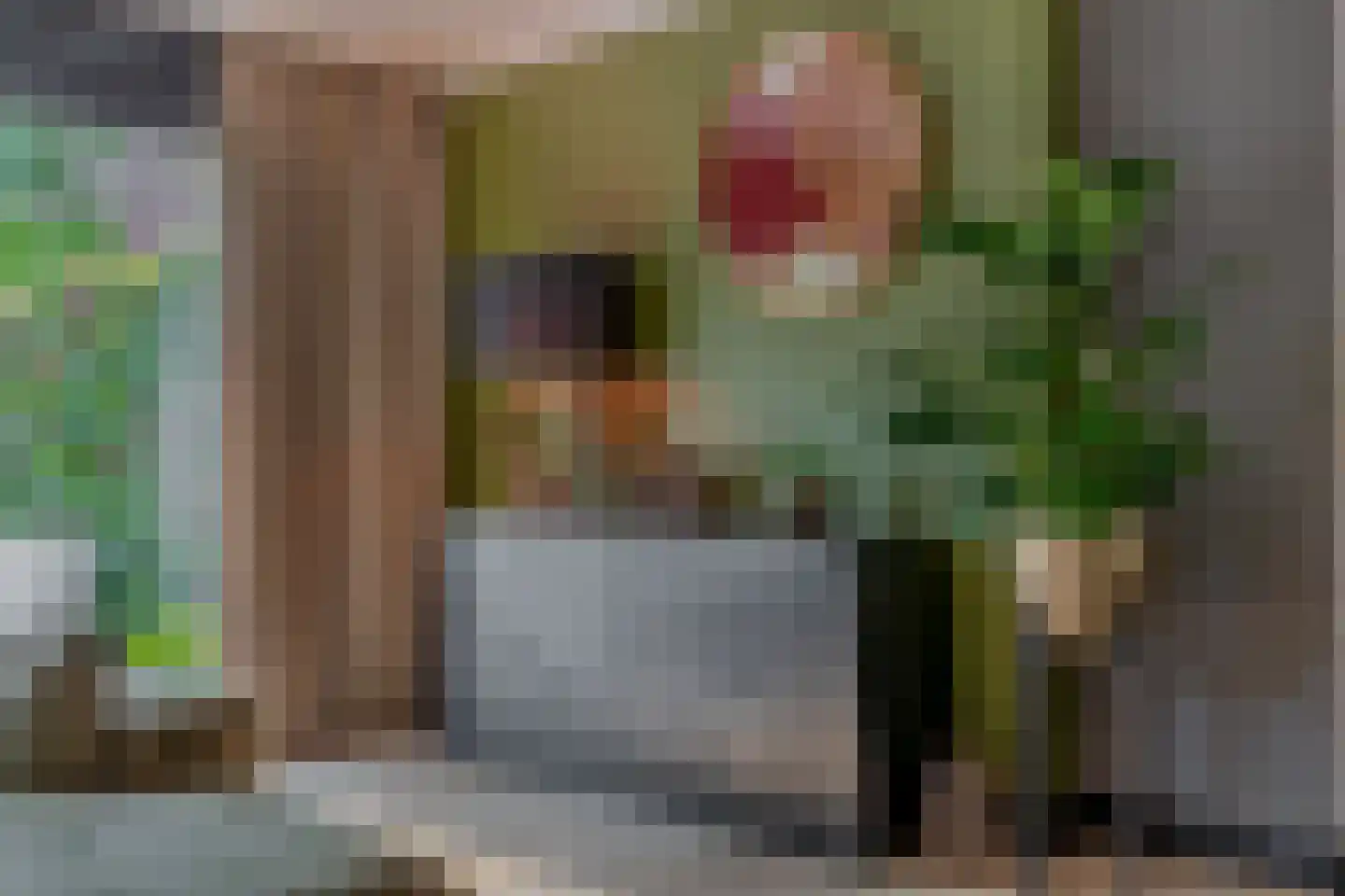 Klimvaren 9 Rotterdam thumbnail 22