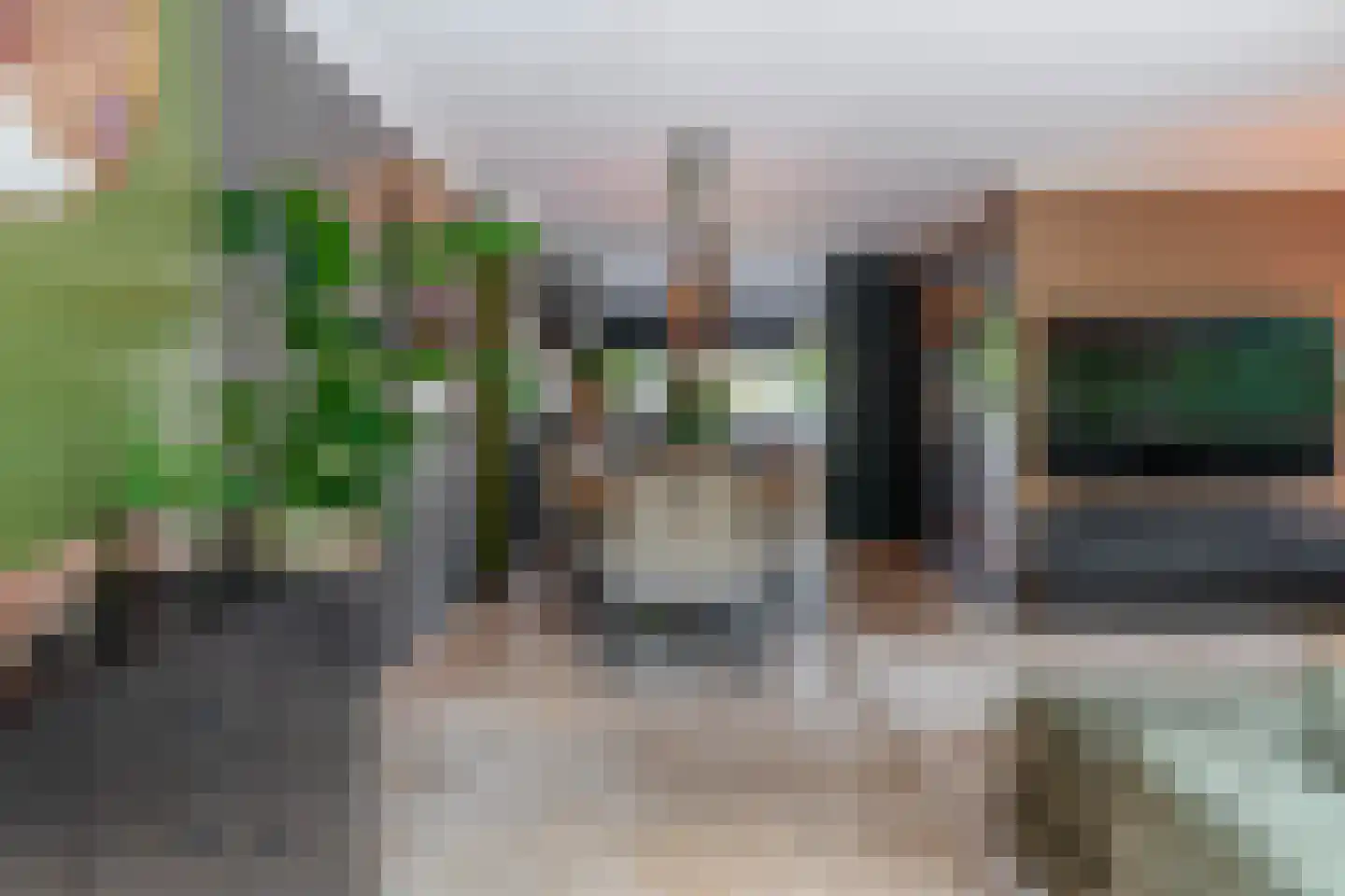 Klimvaren 9 Rotterdam thumbnail 23