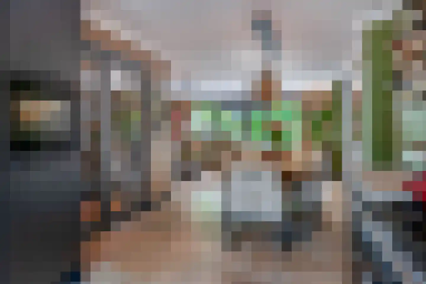 Klimvaren 9 Rotterdam thumbnail 24