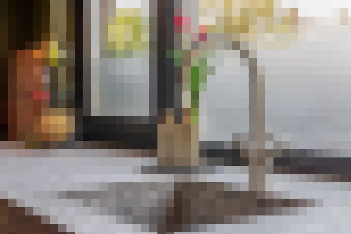 Klimvaren 9 Rotterdam thumbnail 26