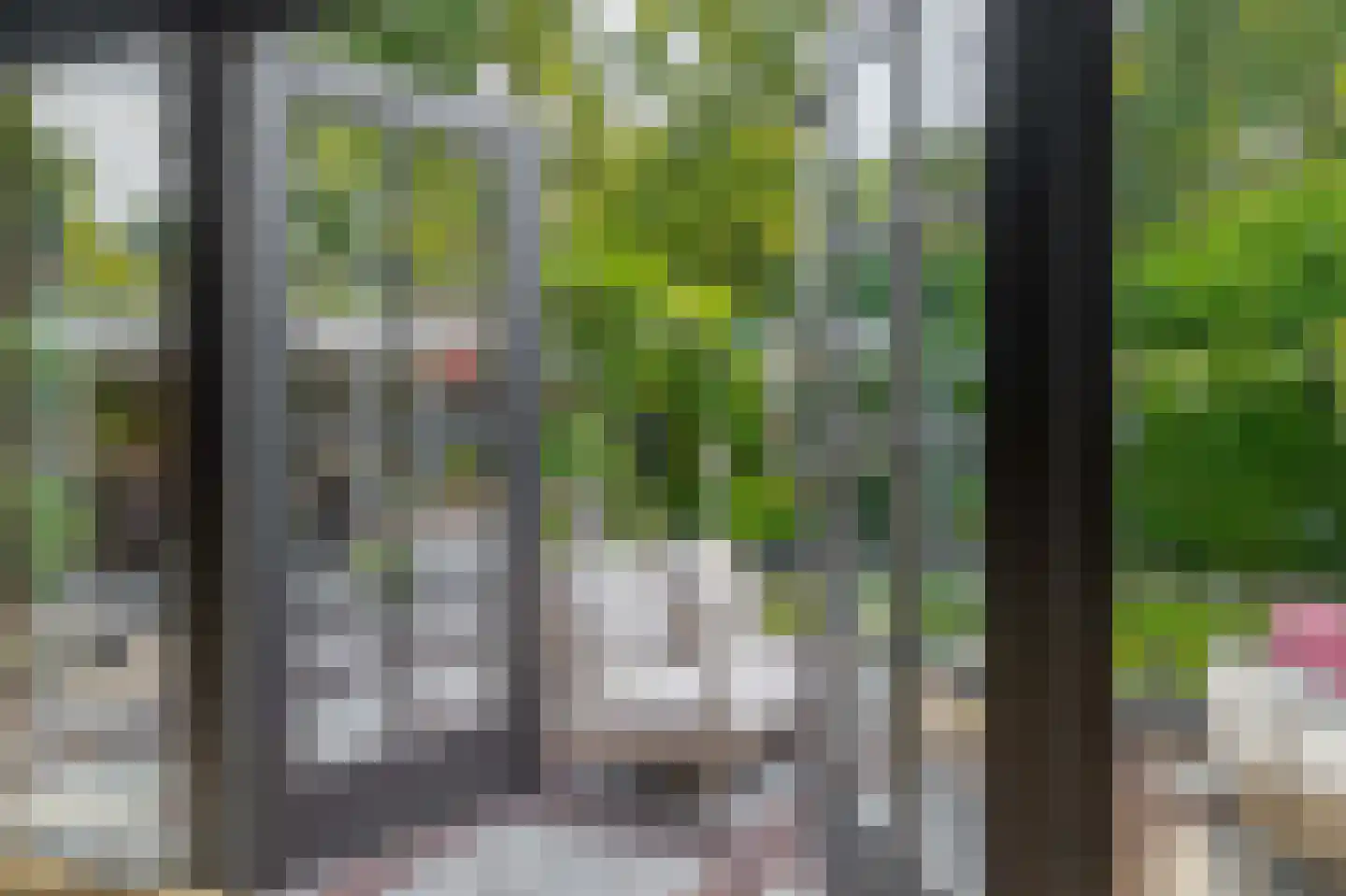 Klimvaren 9 Rotterdam thumbnail 29
