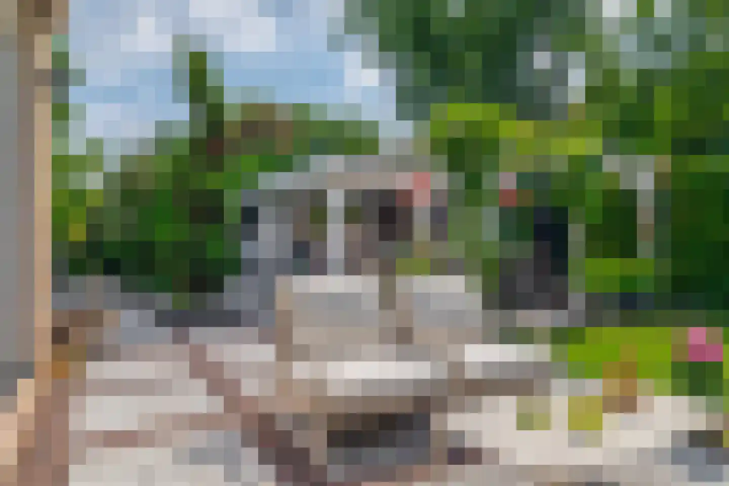 Klimvaren 9 Rotterdam thumbnail 31
